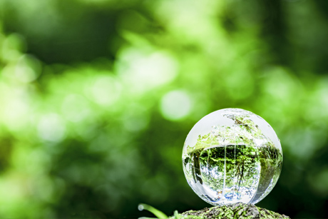 公益法人のコンサルティング